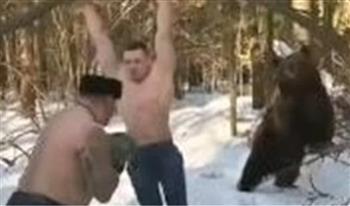 دب أليف يؤدي تدريبات قتالية عنيفة مع أصدقائه الروس (فيديو)