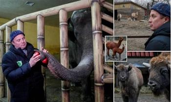 شاهد..موظفون يرفضون الهرب من الحرب لحماية الحيوانات بحديقة أوكرانية