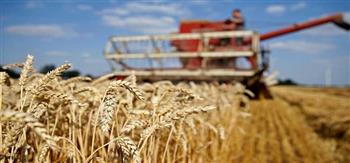 أوكرانيا تحظر تصدير الحبوب والمنتجات الحيوية للخارج