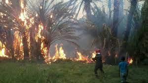 السيطرة على حريق بأرض زراعية بجوار نهر النيل في منطقة الرمل