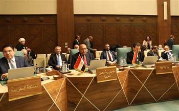 وزير الخارحية: المتغيرات الدولية المتلاحقة تؤكد أن وحدة المصير العربي لم تعد ترفًا