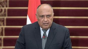 مصر تدعو إلى توحيد الجهود العربية فى التصدي للإرهاب وتجفيف منابعه