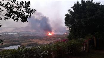 محافظ أسوان يتابع جهود احتواء حريق محمية سالوجا وغزال الطبيعية