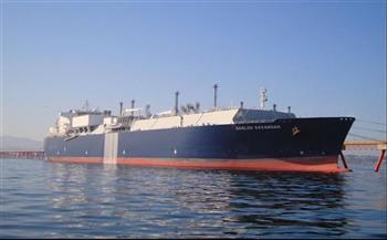 ميناء دمياط يستقبل ناقلتي الغاز المسال ونترات الأمونيوم