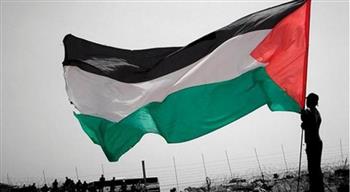 مجلس حقوق الإنسان يعيين فرانسيشكا البانيز مقررة خاصة لفلسطين
