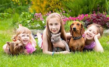 4 نصائح لاختيار حيوان أليف مناسب لطفلك