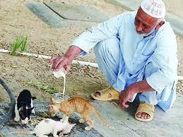 أعظم أعمال الخير في رمضان.. «الرفق بالحيوان» (9-30)