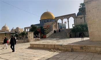 وينسلاند: قلقون إزاء الأحداث الأخيرة في القدس والمسجد الأقصى