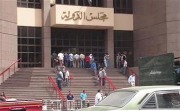 غدًا.. نظر 240 دعوى قضائية لعودة الحصص الاستيرادية الملغاة في بورسعيد
