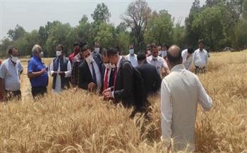 وزير الزراعة يعلن اعتماد الهند منشأ جديدًا لاستيراد القمح