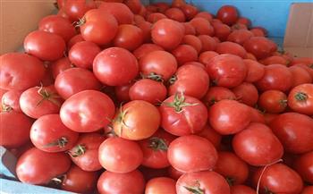 أحمد موسى: سعر الطماطم في سوق العبور 9 جنيهات