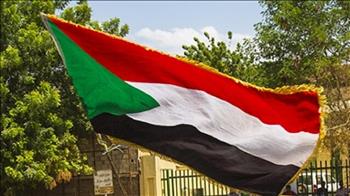 مالي وتشاد ترحبان بمبادرة الجبهة الثورية لحل أزمة فى السودان