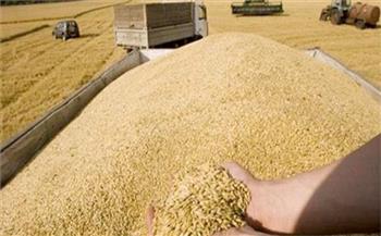 توريد 10 آلاف و 103 أطنان من القمح بالوادي الجديد
