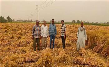 وزير الزراعة يتابع حصاد القمح ببعض المحافظات ويوجه بتذليل كافة العقبات أمام المزارعين