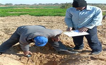 زراعة الوادي الجديد: إعادة تأهيل 60 فدانا بالخارجة بالتعاون مع منظمة الفاو