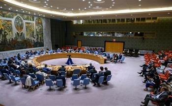 مجلس الأمن يجدد الدعوة إلى ضرورة وقف الحرب في أوكرانيا