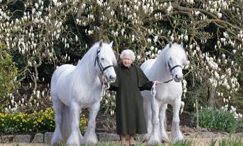 الملكة إليزابيث تحتفل بعيد ميلادها الـ96 بصورة مع حصانين  