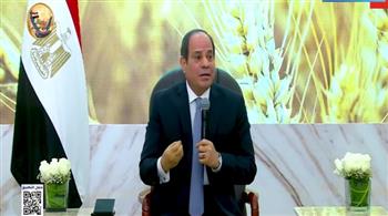 الرئيس السيسي:  الأزمة الاقتصادية بدأت عام 2011.. ومصر فقدت جزءًا كبيرًا من الاحتياطي