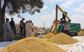 وزير التموين: مصر حققت الاكتفاء الذاتى من الأرز