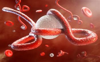 "الصحة العالمية": تفشى جديد لمرض ايبولا في جمهورية الكونغو الديمقراطية