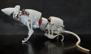 قوارض على شكل روبوت أحدث أجهزة التحكم عن بعد لمهام البحث والإنقاذ