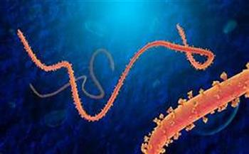 تفشي فيروس إيبولا مجدداً في الكونغو الديمقراطية 