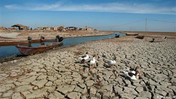 الأمم المتحدة: جفاف الأهور بالعراق كارثة على المناخ العالمي