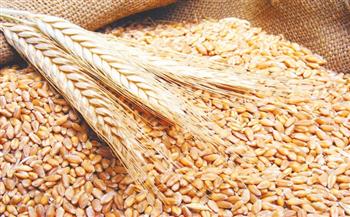 الزراعة توضح إيجابيات المشروع القومي للصوامع وتأثيره على القمح