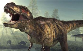 اصطدام كويكب بالأرض.. فيديو يكشف سبب انقراض الديناصورات