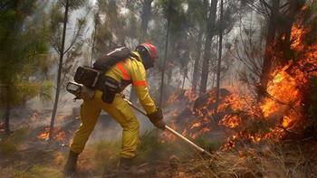 أمريكا: خروج أكبر حرائق غابات نيو مكسيكو عن السيطرة