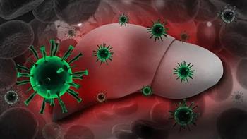 الصحة الأمريكية ترجح وجود فيروس غدي وراء حالات الإصابة بالتهاب الكبد الغامض لدى الأطفال