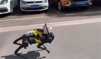 فيديو.. كلب آلي يجوب شوارع الصين للتحذير من فيروس كورونا