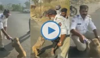الإنسانية في مشهد.. ضباط يقدّمون الماء للقرود العطشى في نهار الصيف (فيديو)