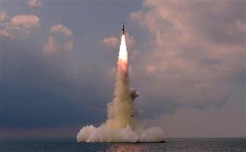 الولايات المتحدة تشدد على أهمية الرد "بحزم" على تجارب كوريا الشمالية الصاروخية