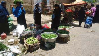 محافظ الفيوم يطالب تجار الخضر والفاكهة بتخفيض الأسعار
