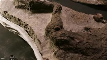 العثور على حفرية ديناصور نفق يوم سقوط كويكب على الارض