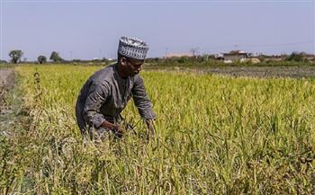 نيجيريا تستعين بالمغرب وإسرائيل لتدريب شبابها على تقنيات الزراعة الحديثة 