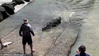 رجل يخاطر بحياته لاستعادة قبعة ابنه من «تمساح» (فيديو) 
