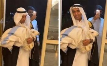 «لا يرد الكريم إلا اللئيم».. شاب مصري يداعب سعوديين بخروف أبيض (فيديو)
