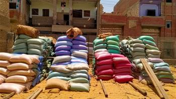 محافظ المنيا : توريد 139 ألفا و 27 طنا من محصول القمح بشون وصوامع المحافظة