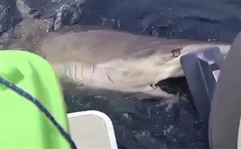 لحظة مرعبة لهجوم سمكة قرش على قارب صيد (فيديو)