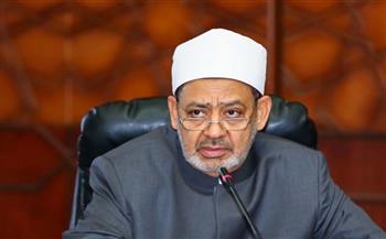 الإمام الأكبر يؤكد ملاحقة الأزهر للأفكار التي تؤرق علاقة المسلمين بالمسيحيين