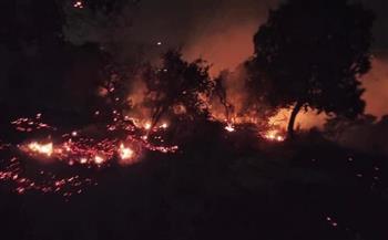 الأردن: نشوب حريق كبير في محمية اليرموك بإربد