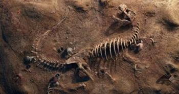باحثون صينيون يكتشفون أحفورة ديناصور يعود تاريخها إلى ما يقرب من 125 مليون عام بمنغوليا