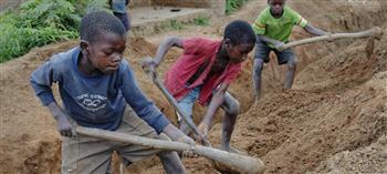 مدير منظمة العمل الدولية: عمالة الأطفال انتهاك لحقوق الإنسان