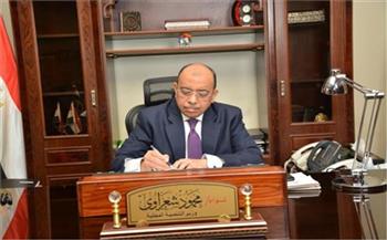 وزير التنمية المحلية يعرض رؤية مصر حول تغير المناخ بقمة «المدن الأفريقية»
