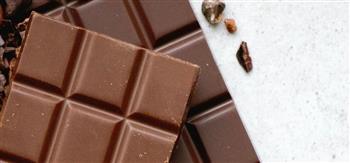 الاتحاد الأوروبي : نحو 270 إصابة بسالمونيلا في شوكولاتة