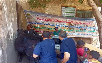 علاج وفحص أكثر من 3000 رأس ماشية مجانا بسوهاج ضمن «حياة كريمة»