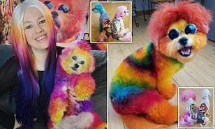 صبغة شعر كلبها.. سيدة تثير الجدل على مواقع التواصل الاجتماعي (صور)
