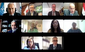 ندوة افتراضية حول الجهود المبذولة لمنع النزاعات وبناء السلام في أفريقيا